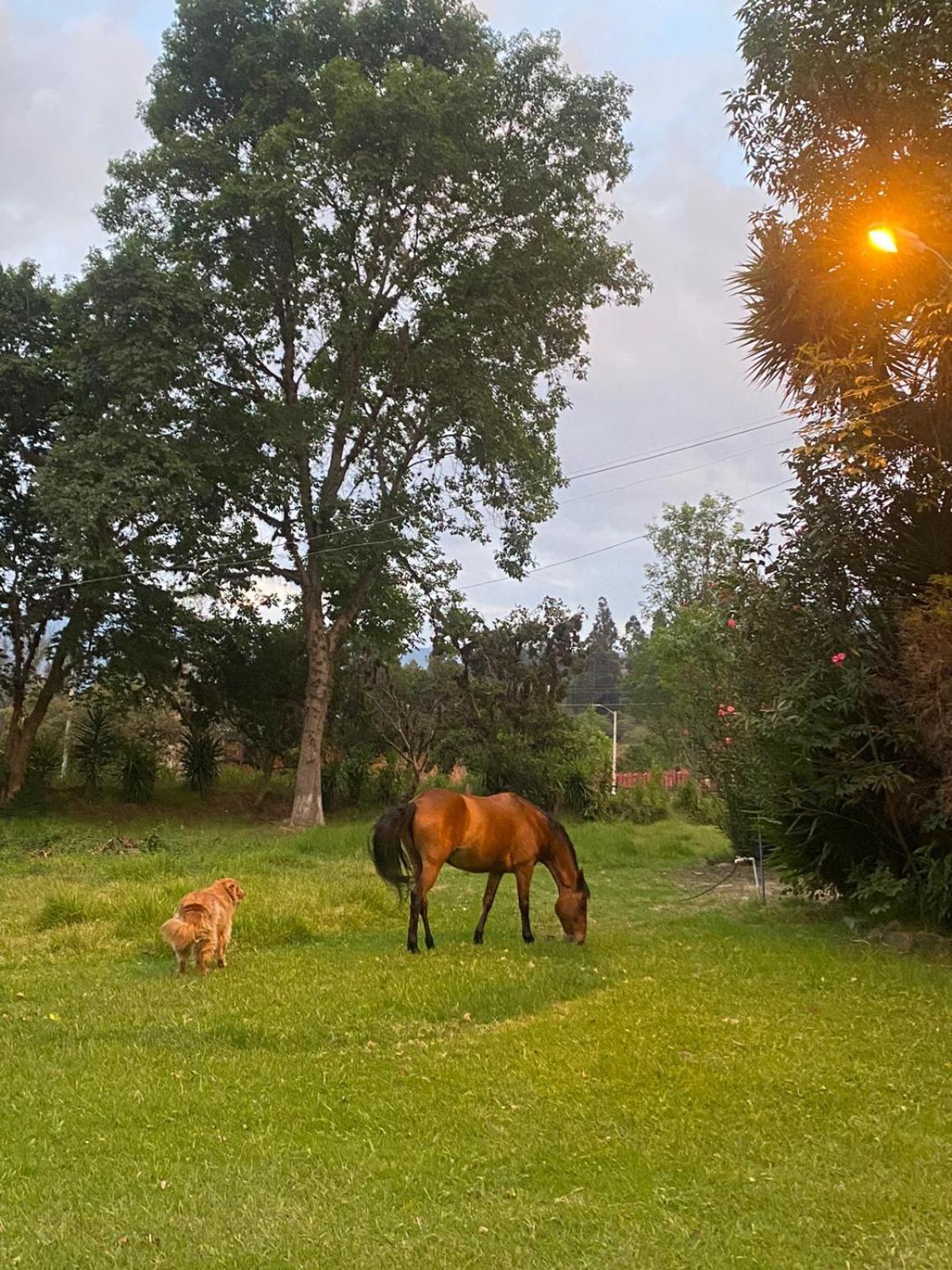 Hosteria Campestre San Fermin Raquira Εξωτερικό φωτογραφία