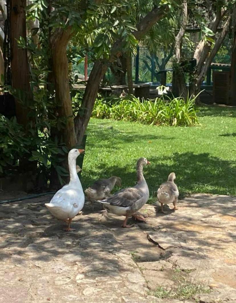 Hosteria Campestre San Fermin Raquira Εξωτερικό φωτογραφία