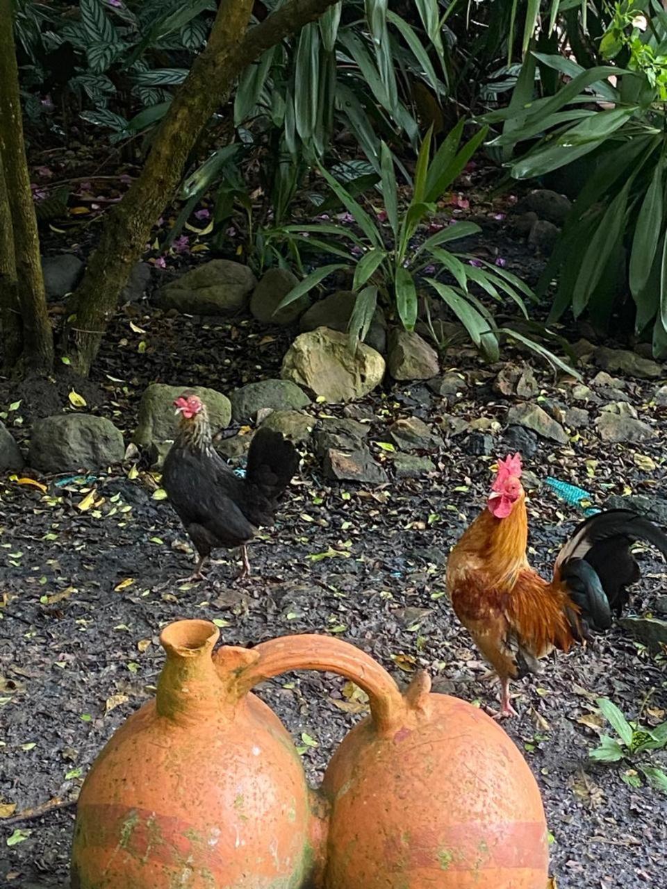 Hosteria Campestre San Fermin Raquira Εξωτερικό φωτογραφία